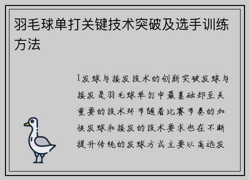 羽毛球单打关键技术突破及选手训练方法