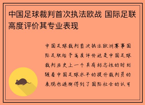 中国足球裁判首次执法欧战 国际足联高度评价其专业表现